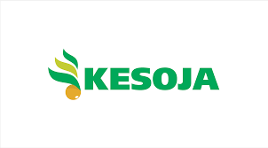 Tn Keso