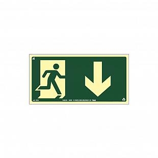 Placa Fotoluminescente S-